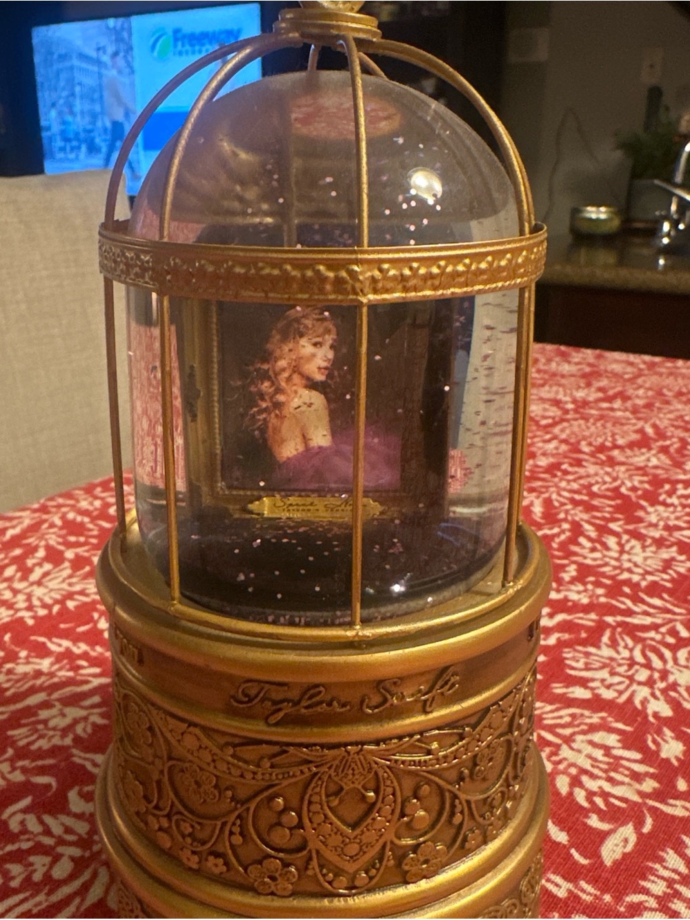 Taylor Swift Speak Now Snow Globe
